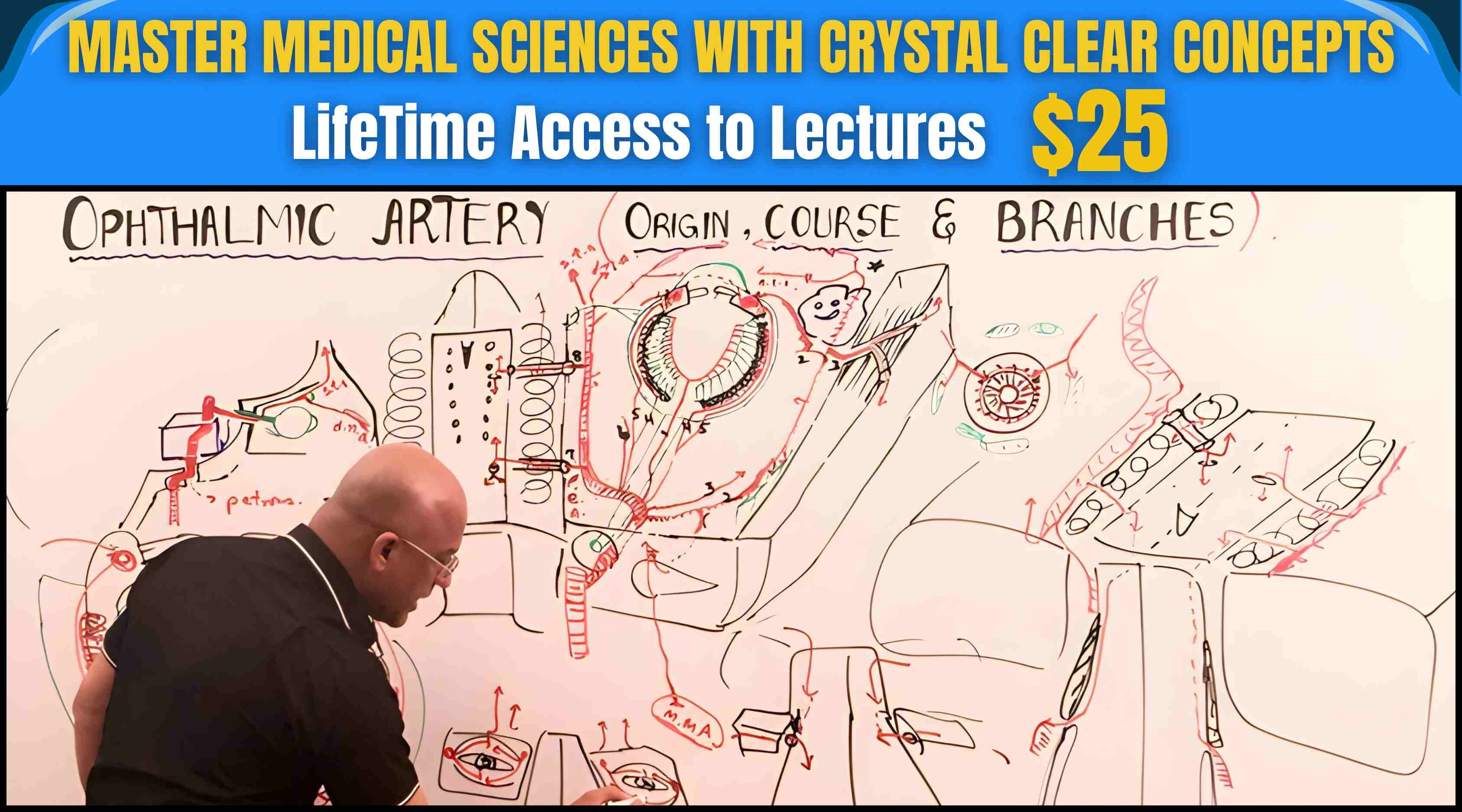 Master Medical Sciences - Lifetime Access $25